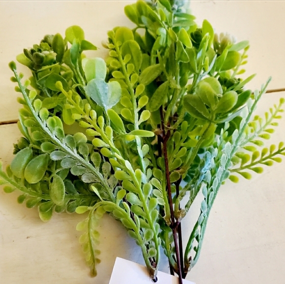 🌻5/$25🌻 Succulent Bush Pick - Picture 3 of 3